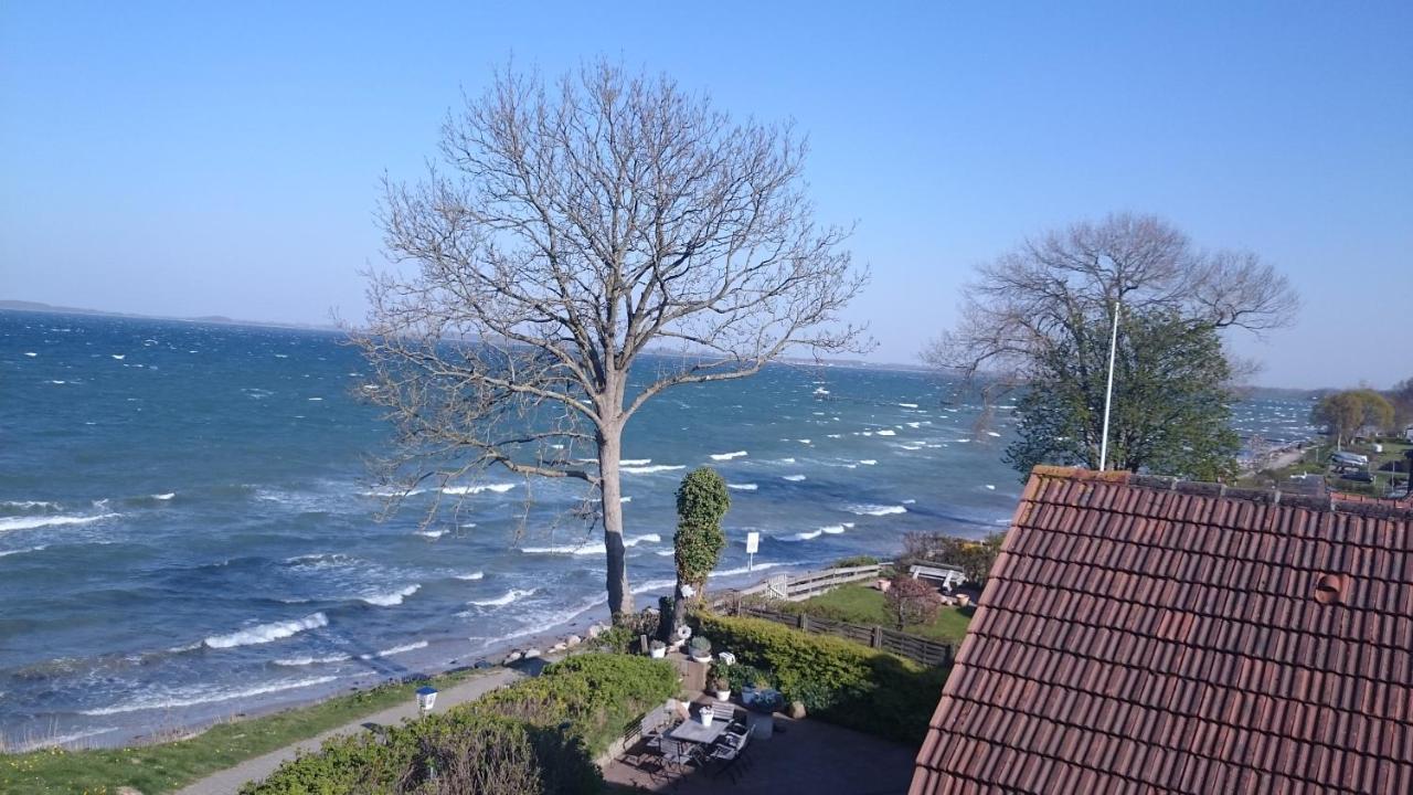Strandappartements Steinberghaff "Kegnaes" Mit Meerblick Und Sauna Steinberg  Екстериор снимка